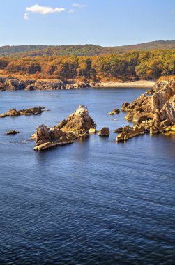 Kayalık kıyısında güzel manzara