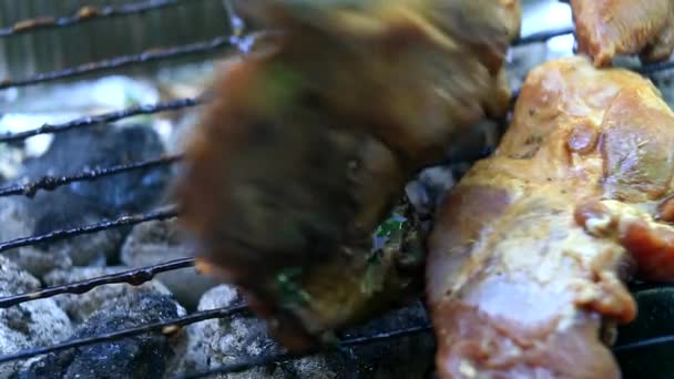 Braten Von Frischem Fleisch Auf Dem Grill Nahaufnahme — Stockvideo