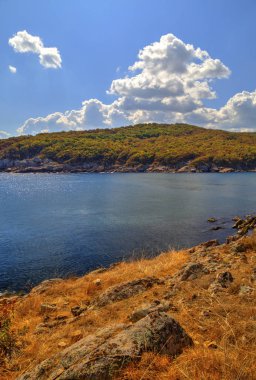 Kayalık kıyısında güzel manzara