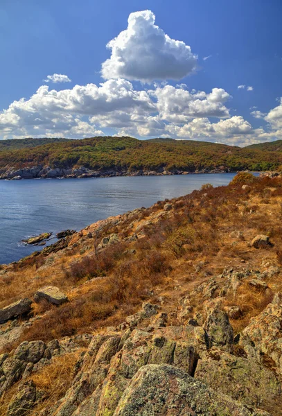 Красивий Пейзаж Скелястому Березі — стокове фото