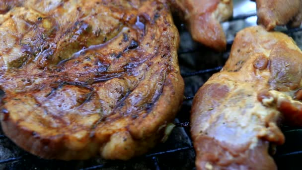 Pörkölés Friss Húst Barbecue Vértes — Stock videók