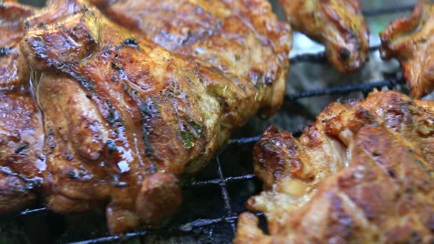 Rôtir Viande Fraîche Sur Barbecue Gros Plan — Video