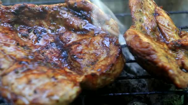 Asar Carne Fresca Primer Plano Barbacoa — Vídeos de Stock