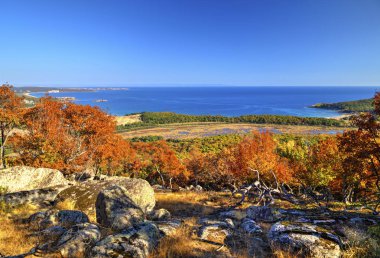 Sonbahar Orman ve deniz ile güzel manzara