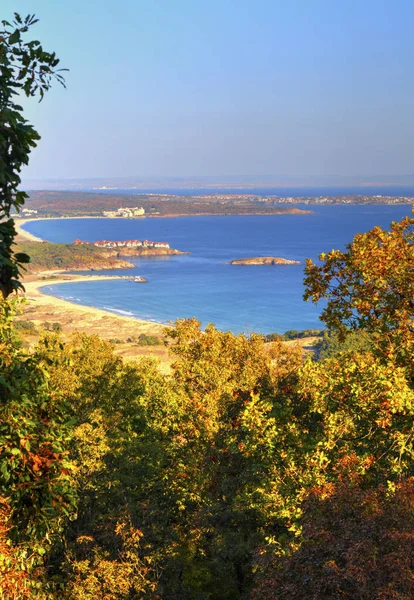 Beautiful landscape with autumn forest and sea