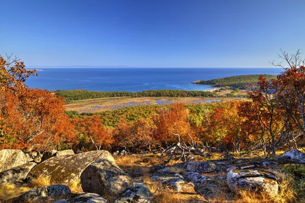 Beautiful landscape with autumn forest and sea