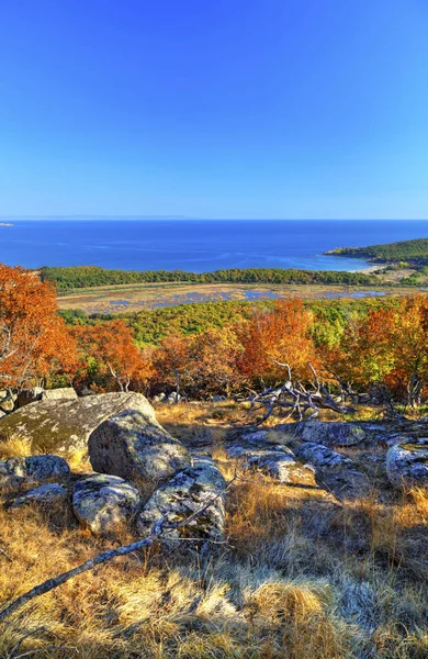Beautiful landscape with autumn forest and sea