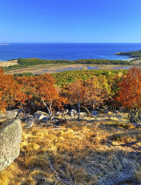 Beautiful landscape with autumn forest and sea