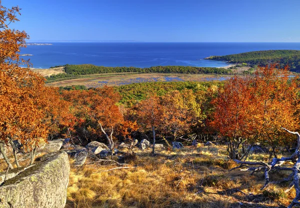 Beautiful landscape with autumn forest and sea
