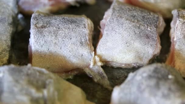 Fritar Pedaços Peixe Close — Vídeo de Stock