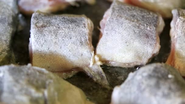 Frying Pieces Fish Closeup — Stock Video
