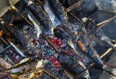 Kavurma balık ateşe yakın çekim