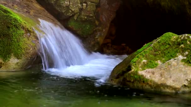 Bach Fließt Den Berg — Stockvideo