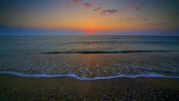 Schöner Sonnenaufgang Über Dem Strand — Stockvideo