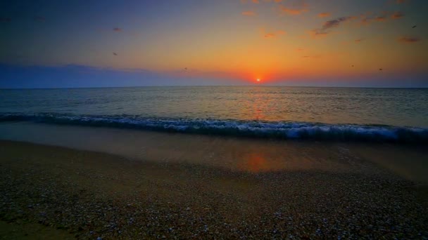 Hermoso Amanecer Sobre Playa — Vídeo de stock