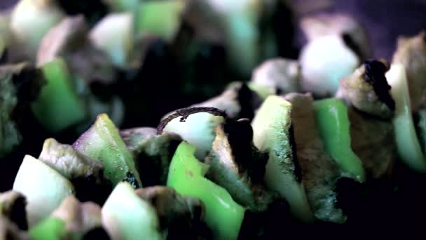 Grillezés Friss Hús Zöldségek Vértes — Stock videók
