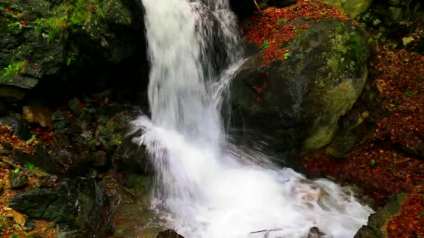Piękny Wodospad Górach — Wideo stockowe