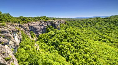 Taze yeşil orman ve mavi gökyüzü ile güzel yaz manzara - panoramik görünümü
