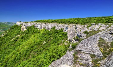 Taze yeşil orman ve mavi gökyüzü ile güzel yaz manzara - panoramik görünümü