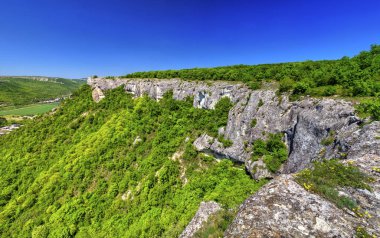 Taze yeşil orman ve mavi gökyüzü ile güzel yaz manzara - panoramik görünümü