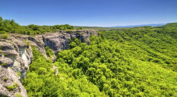 Wunderschöne Sommerlandschaft Mit Frischem Grün Und Blauem Himmel Panoramablick — Stockfoto