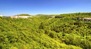 Taze yeşil orman ve mavi gökyüzü ile güzel yaz manzara - panoramik görünümü