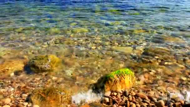 Vue Relaxante Sur Les Vagues Mer Sur Plage Rocheuse — Video