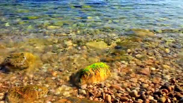 Розслабляючий Вид Морські Хвилі Кам Янистому Пляжі — стокове відео
