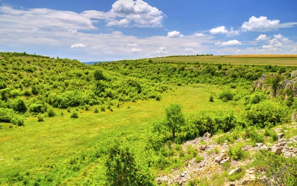 Прекрасний Літній Пейзаж Гірському Масиві — стокове фото