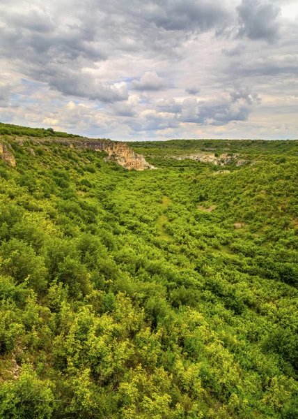 Прекрасний Літній Пейзаж Гірському Масиві — стокове фото