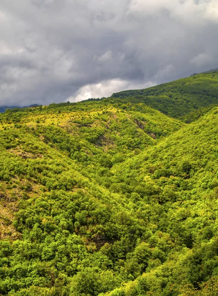 Linda Paisagem Verão Cordilheira — Fotografia de Stock