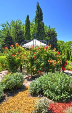 Botanik bahçesinde çiçek açan çiçekler ile güzel bir görünüm