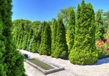 Botanik bahçesinde güzel manzara