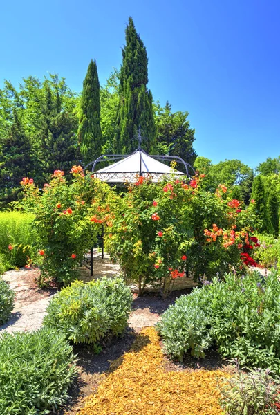 Botanik bahçesinde çiçek açan çiçekler ile güzel bir görünüm