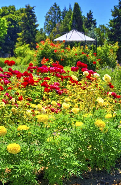 Krásný Výhled Kvetoucí Květy Botanické Zahradě — Stock fotografie