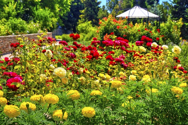 Krásný Výhled Kvetoucí Květy Botanické Zahradě — Stock fotografie