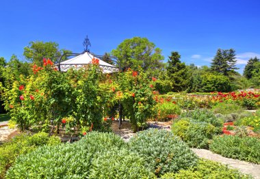 Bahçede çiçek açan çiçekler ve köşk ile güzel bir görünüm