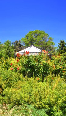 Bahçede çiçek açan çiçekler ve köşk ile güzel bir görünüm