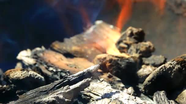 Burning Wood Fireplace Close — Stock Video