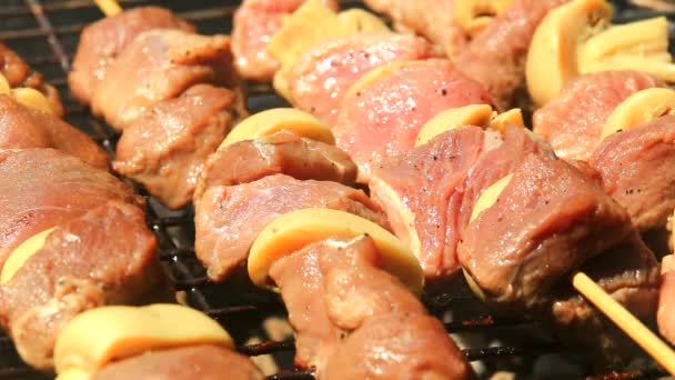 Griller Viande Fraîche Des Champignons Sur Barbecue Vue Rapprochée — Video