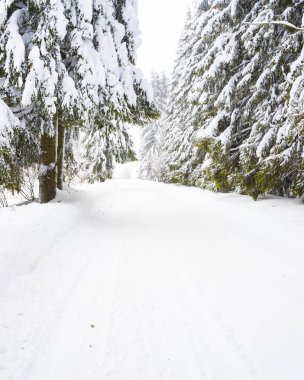 Kış dikey arka plan boş yol ile 