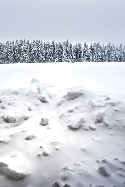 Winter Vertical Background Lot Snow — Stock Photo, Image