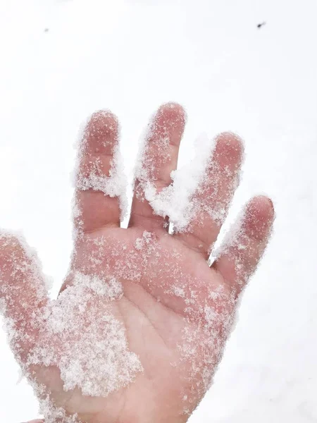 赤ちゃんの手と冬の雪 — ストック写真