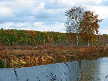 Güneşli nehir, küçük bir baraka ve mavi s altında yeşil-sarı orman