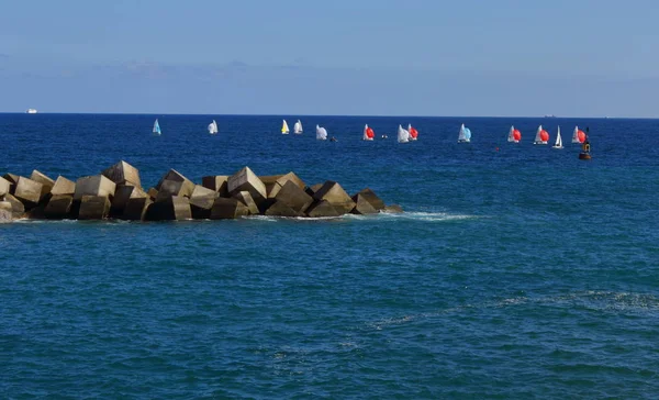 Regata Pequeños Veleros —  Fotos de Stock