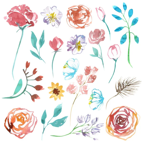 Sulu Boya Resimde Beyaz Arka Plan Üzerinde Izole Doodle Çiçek — Stok fotoğraf