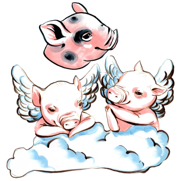 Illustration Marqueur Collection Mini Cochons Avec Des Ailes Sur Nuage — Photo