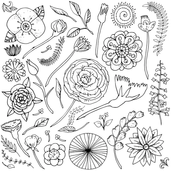 Векторная Иллюстрация Фантазии Цветок Каракули Установить Черно Белый Растения Изолированы — стоковый вектор