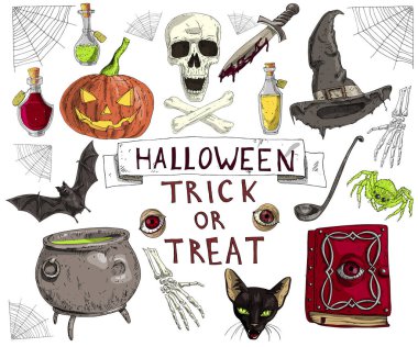 Vektör çizim set karikatür gerçekçi çeşitli Halloween aksesuarları kabak, kafatası ve kemikler, şişe iksiri, örümcek, Pot mutfak kaşık, siyah kedi, kan, Web, el kemikleri, korkutucu kırmızı gözlü, hançer ile cadı şapka ayrılmış nesneleri whit üzerinde