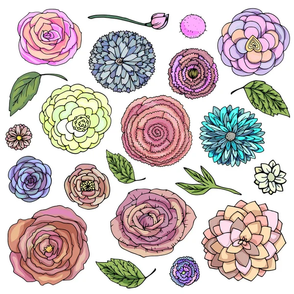 Vektör illüstrasyon fantezi çiçek karalamalar parlak renk ayarlayın. Beyaz arka planda izole edilmiş bitkiler — Stok Vektör